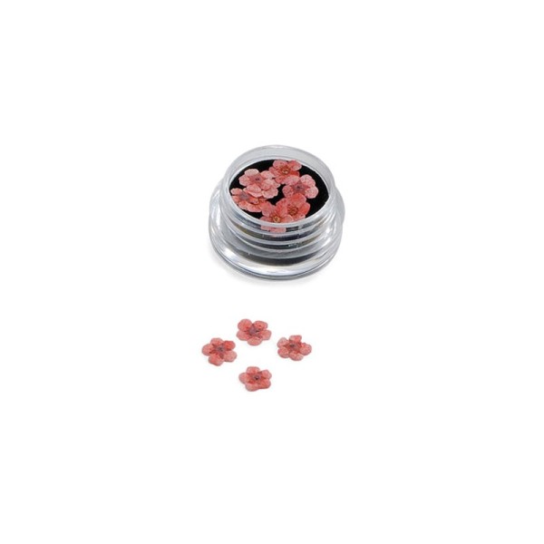 NAIL ART FLOWERS ROSSO