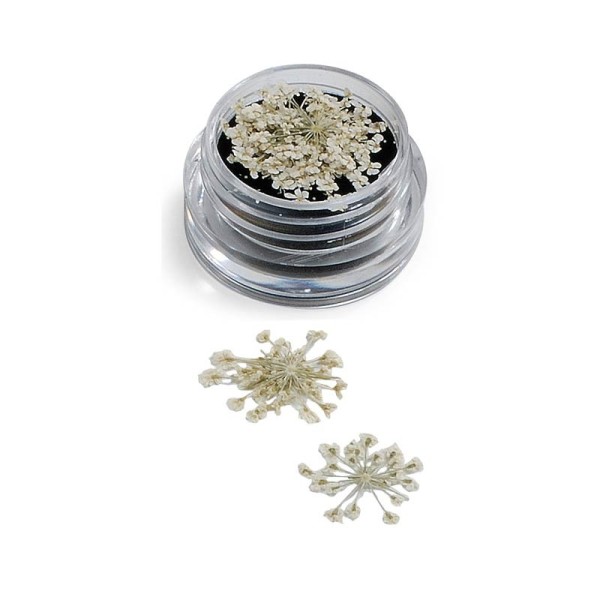 NAIL ART FLOWERS BIANCO