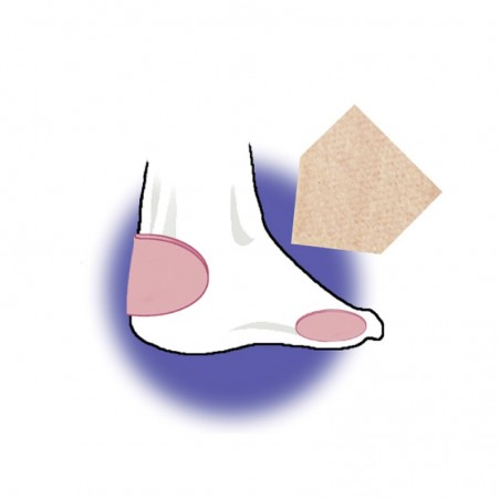 Molizann CM.10X7,5 PZ. 2
