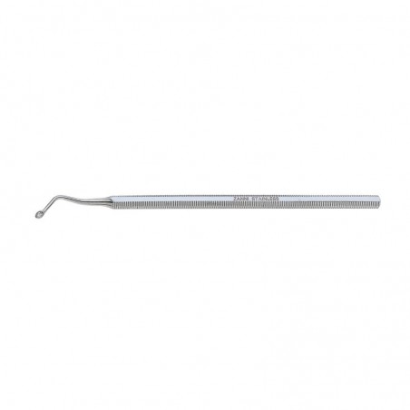 Raschino di Volkmann's cm. 13